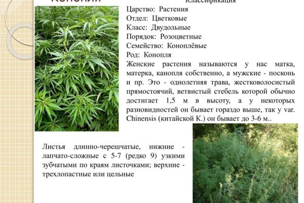 Найдется все kraken 2krn cc что это